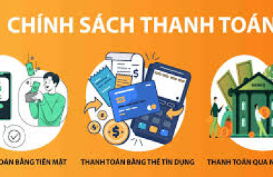 Chính sách báo giá và thanh toán
